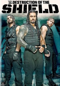 هوم ویدئو WWE Destruction of The Shield 2015