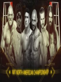 مسابقه WWE NXT TakeOver Ladder Match 2018